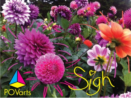 Photo by Chuck Frank