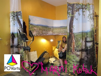 Marni Kotak's "Mad Meds" at Microscope Gallery, 2014